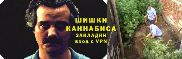 МДПВ Каменка