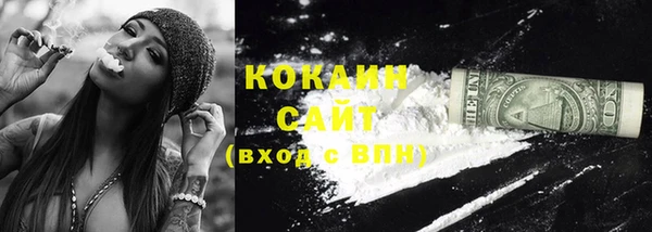МДПВ Каменка