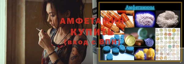 МДПВ Каменка