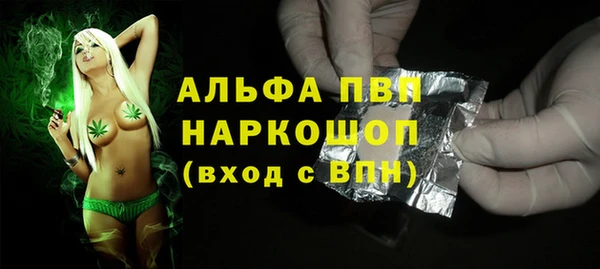МДПВ Каменка