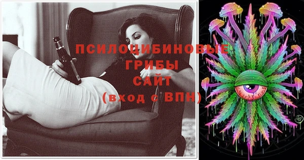 МДПВ Каменка
