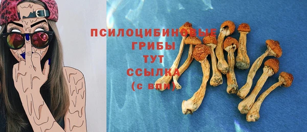 МДПВ Каменка