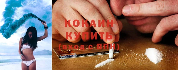 МДПВ Каменка