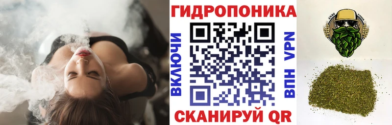 Бошки Шишки THC 21% Дюртюли
